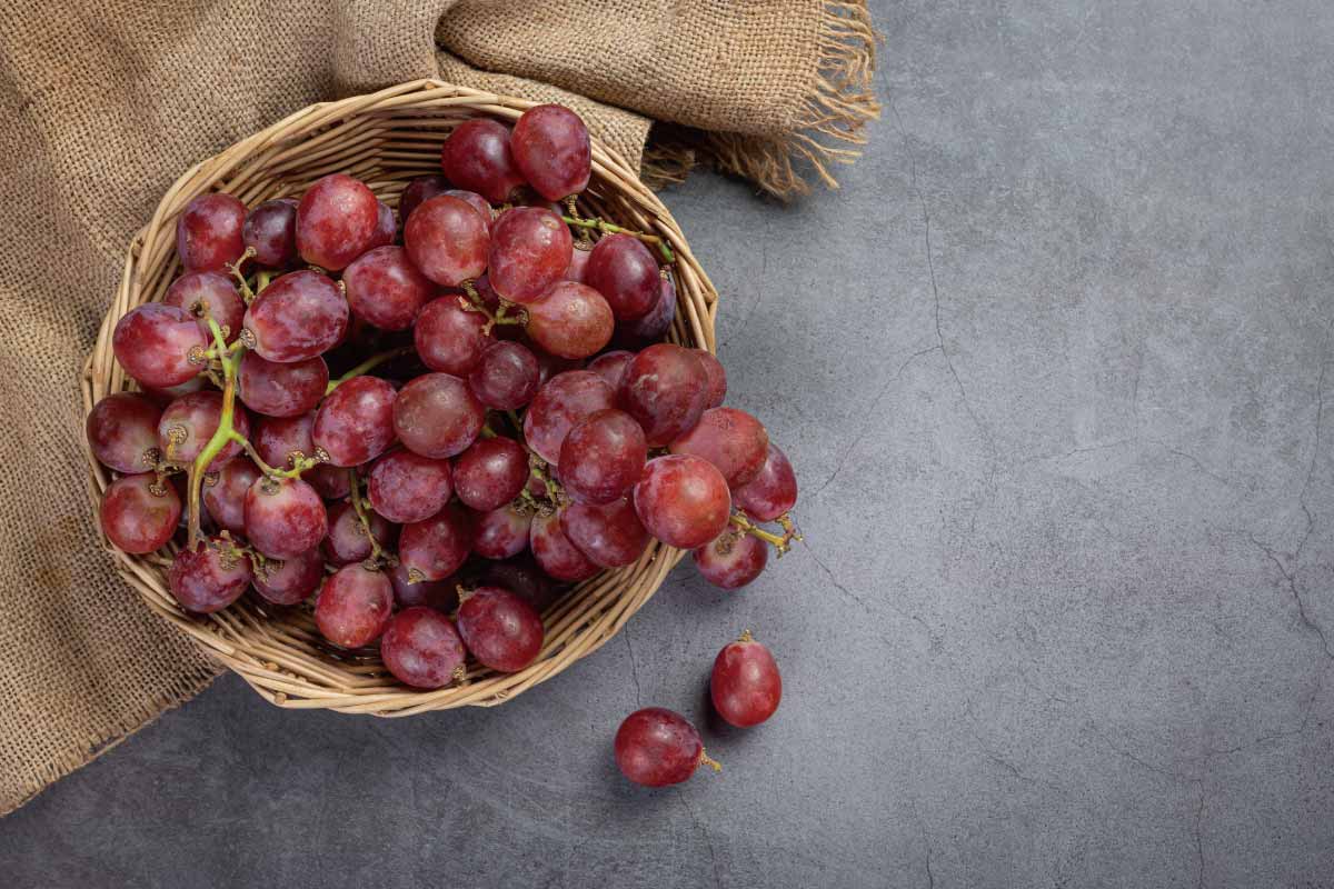 葡萄皮可以吃嗎？美味與健康兼得的秘密